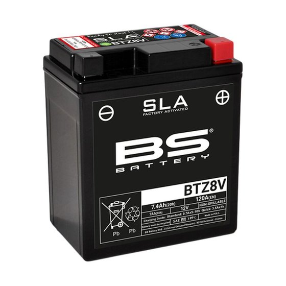 300890 BS BATTERY btz8v sla battery