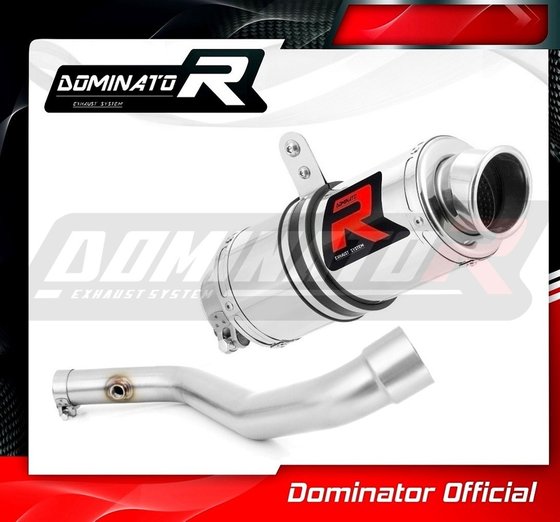 BW005DC-S Dominator exhaust silencer gp1