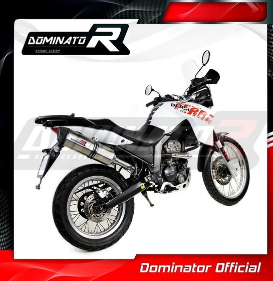 DE001DF-S Dominator exhaust silencer hp1