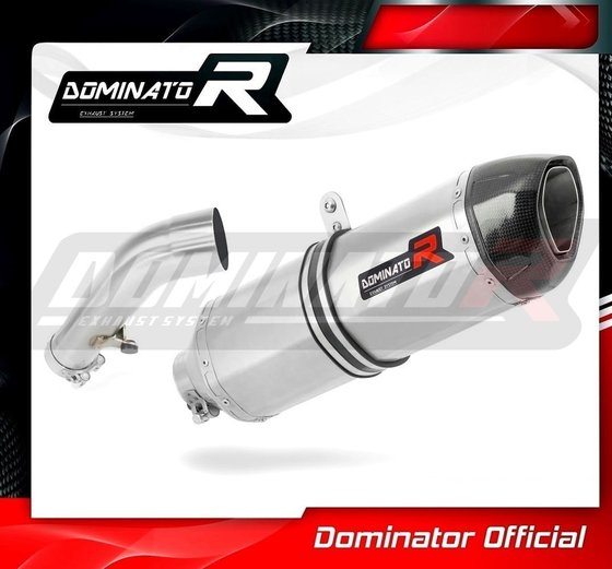 BW015DF-S Dominator exhaust silencer muffler hp1