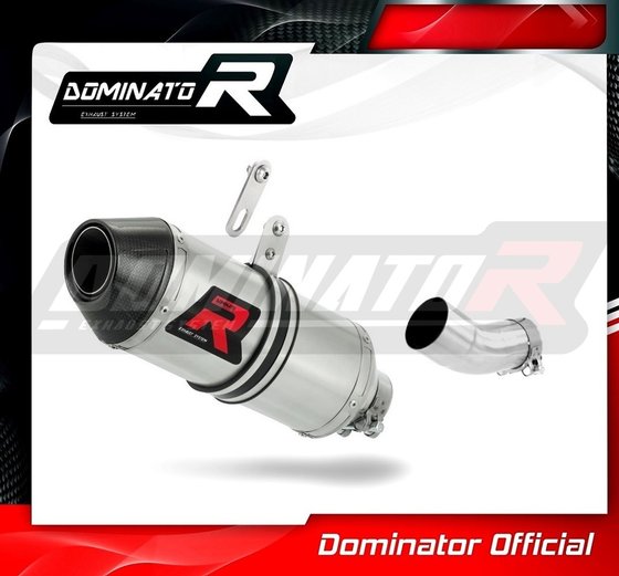 AP007DF-S Dominator exhaust silencer low level hp3