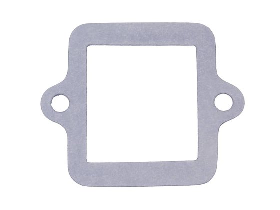 IP32901 101 OCTANE reed valve gasket