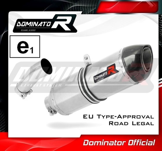 BW028DF-H Dominator homologated exhaust silencer hp1