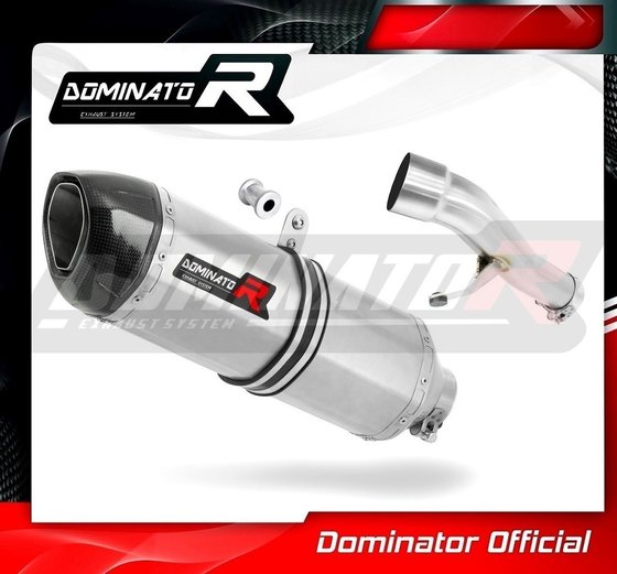 HO015DF-S Dominator exhaust silencer hp1