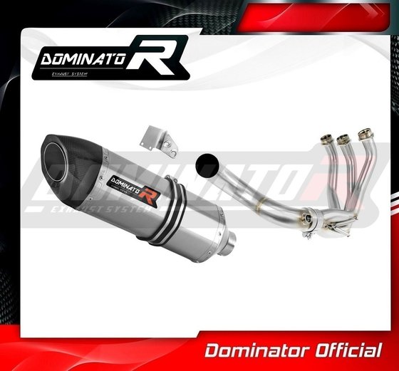 YA134DF-S Dominator full exhaust system hp5 silencer