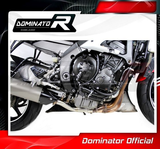 YA053D Dominator exhaust cat eliminator decat