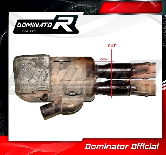 YA053D Dominator exhaust cat eliminator decat