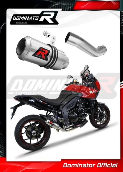 TR018DC-S Dominator exhaust silencer gp