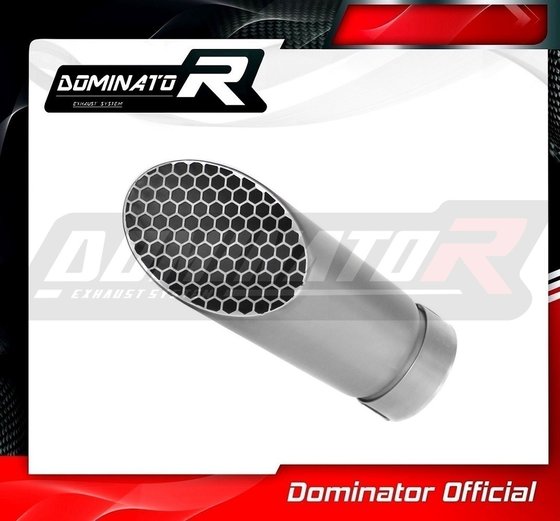 BW102DD Dominator exhaust megaphone gp3 titanium