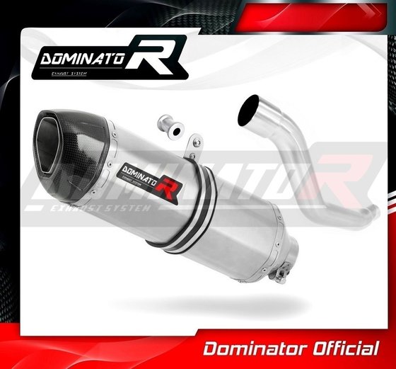 SU008DF-S Dominator exhaust silencer hp1