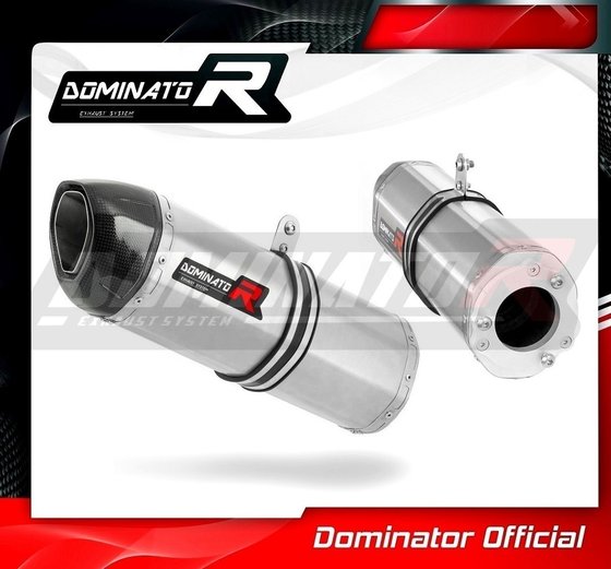 KA005DF-S Dominator exhaust silencer hp1