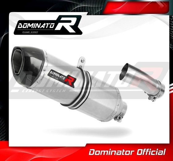 SU089DF-S Dominator exhaust silencer hp1