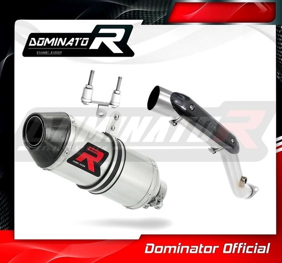 BW066DF Dominator exhaust silencer hp3