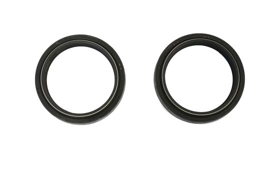 P40FORK455207 ATHENA fork seals