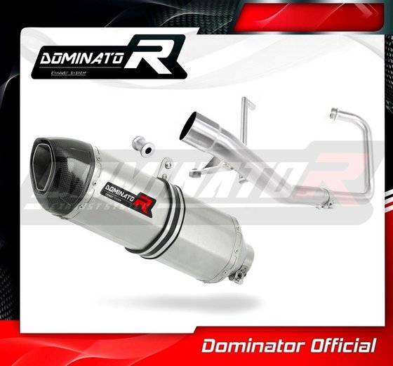 YA093DF-S Dominator exhaust full system silencer hp1