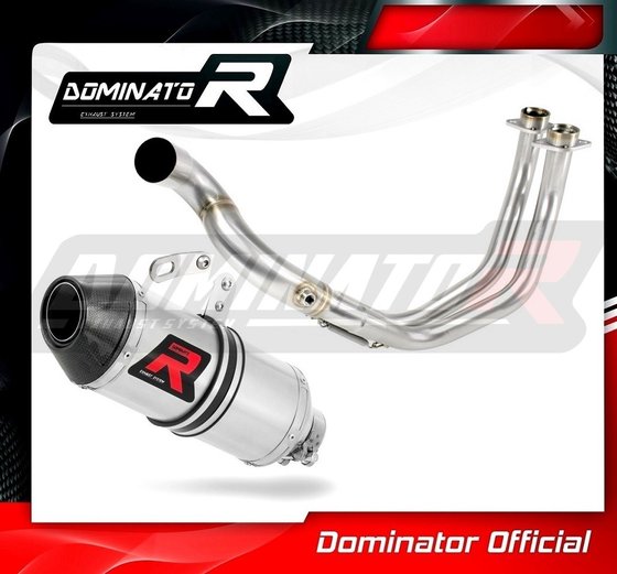 YA097DF-S Dominator exhaust full system silencer hp3