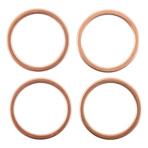 823044 Vertex exhaust gasket kit