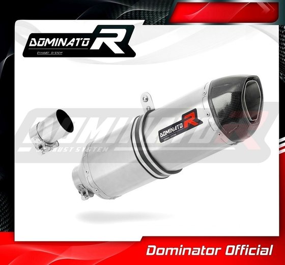 BW011DF-S Dominator exhaust silencer hp1