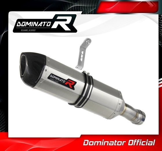 BW002DF-H Dominator homologated exhaust silencer hp1