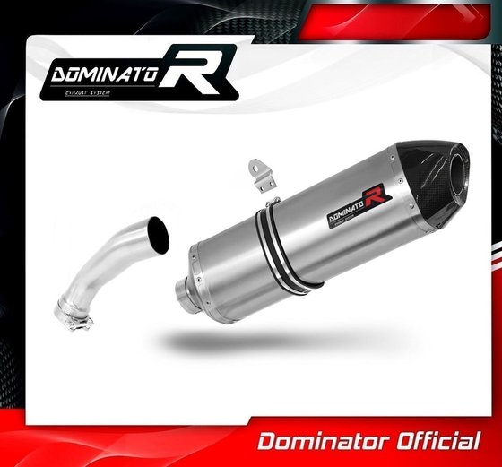 BW111DF7-S Dominator exhaust silencer muffler hp7