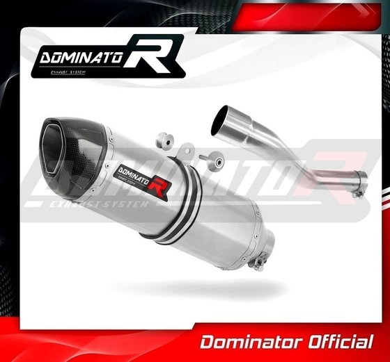 YA117DF-S Dominator exhaust silencer muffler hp1