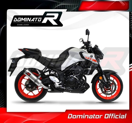 YA121DF-S Dominator exhaust silencer hp3