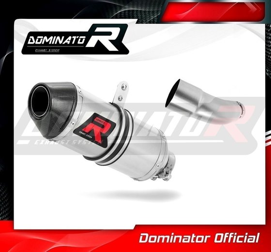 YA121DF-S Dominator exhaust silencer hp3