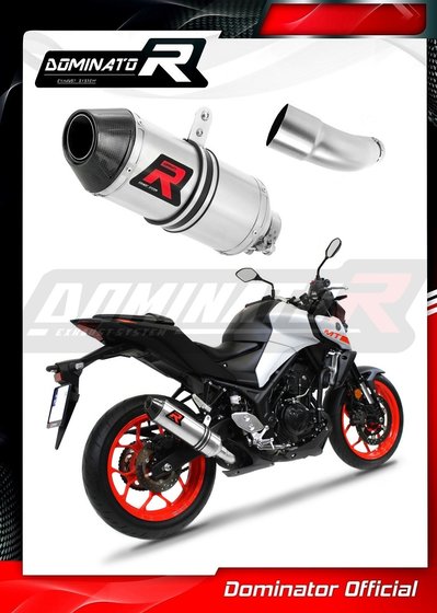 YA121DF-S Dominator exhaust silencer hp3