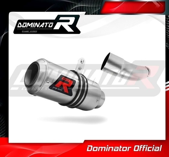 YA074DC-S Dominator exhaust silencer gp