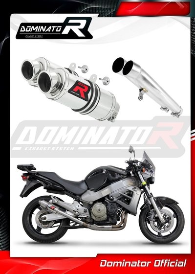 HO011DC-S Dominator exhaust silencer gp1