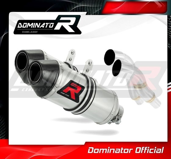 TR006DF-S Dominator exhaust silencer hp3