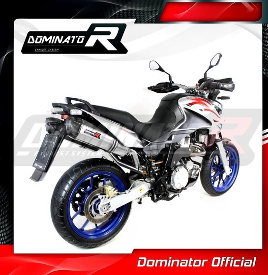 AP023DF-S Dominator exhaust silencer hp1