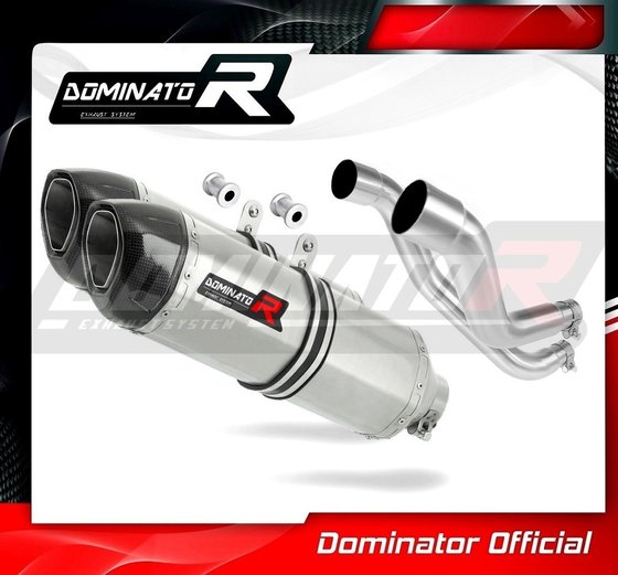 AP023DF-S Dominator exhaust silencer hp1