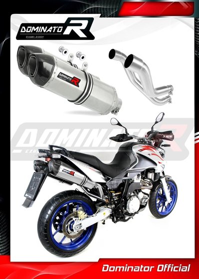 AP023DF-S Dominator exhaust silencer hp1