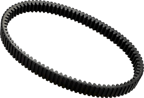 WE261010 EPI severe duty drive belt