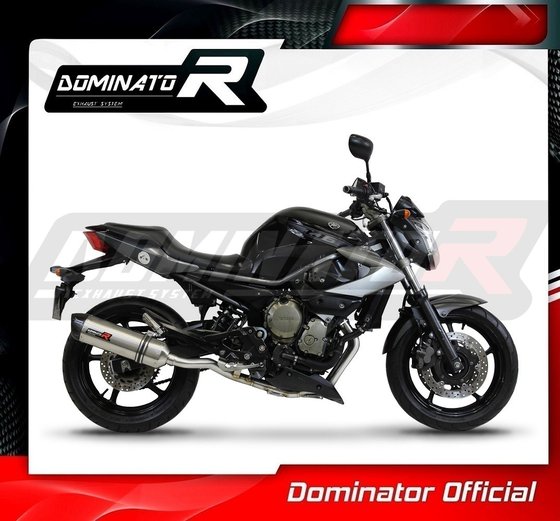 YA050DF-S Dominator exhaust full system silencer hp1