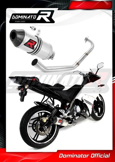 YA086DF-S Dominator exhaust full system silencer hp3