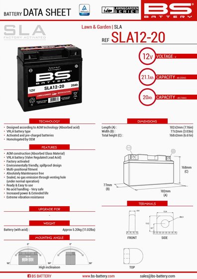 300879 BS BATTERY sla12-20 (fa) lawn & garden series