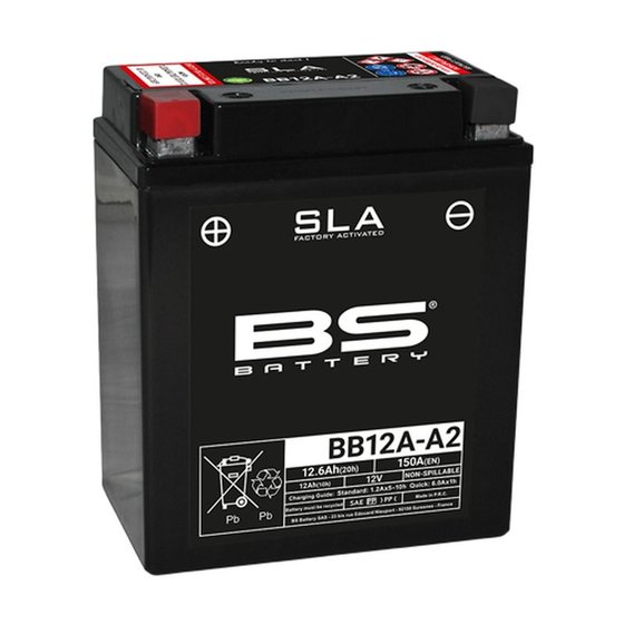 300881 BS BATTERY bb12a-a2 sla battery