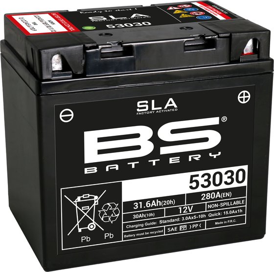 140-300880 BS BATTERY 53030 (fa) sla - sealed & activated