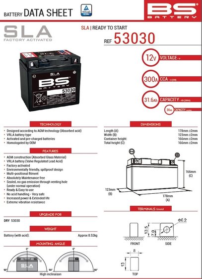 140-300880 BS BATTERY 53030 (fa) sla - sealed & activated