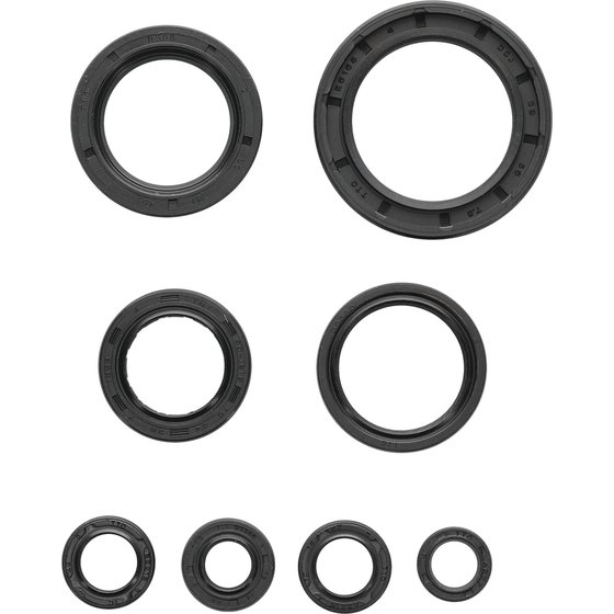 822996 Vertex engine oil seal kit