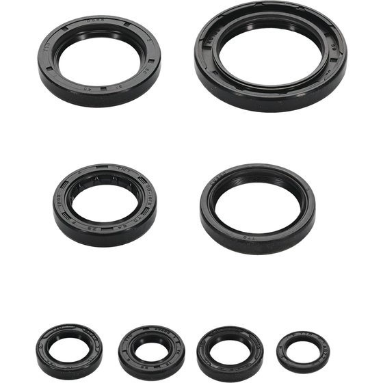 822996 Vertex engine oil seal kit