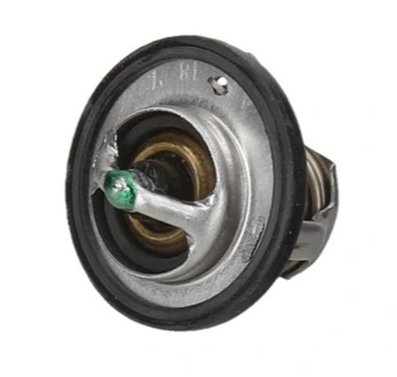 TMT-305 Tourmax thermostat