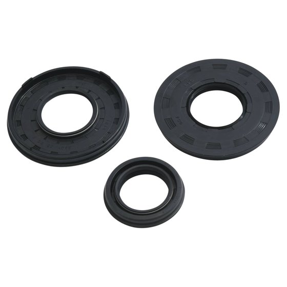 622116 Vertex engine oil seal kit