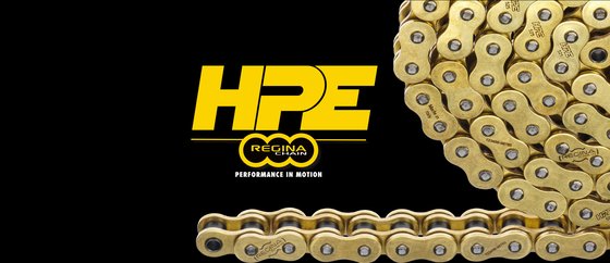 281-52530-120 REGINA 525 hpe z-ringchain. + rivetl.