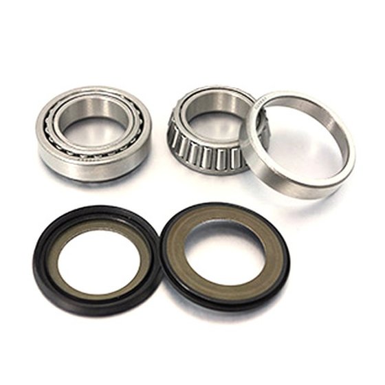 SBK30007 BEARING WORX rėmo galvutės guoliai su sandarikliais