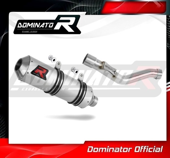 YA137DE-S Dominator exhaust silencer mx