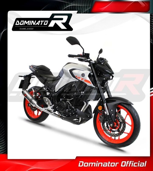 YA075DF-S Dominator exhaust full system silencer hp3