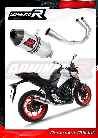 YA075DF-S Dominator exhaust full system silencer hp3